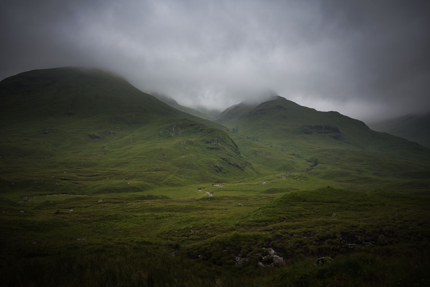 Mist in the glen