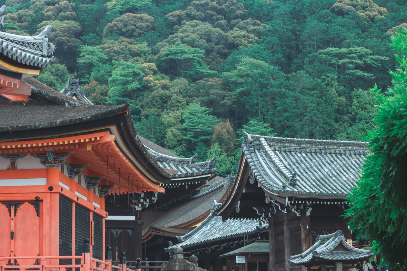 A temple in the forest