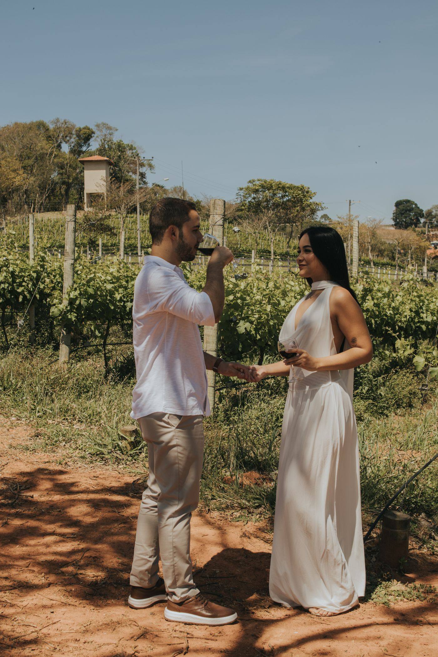 A tasting in the vines