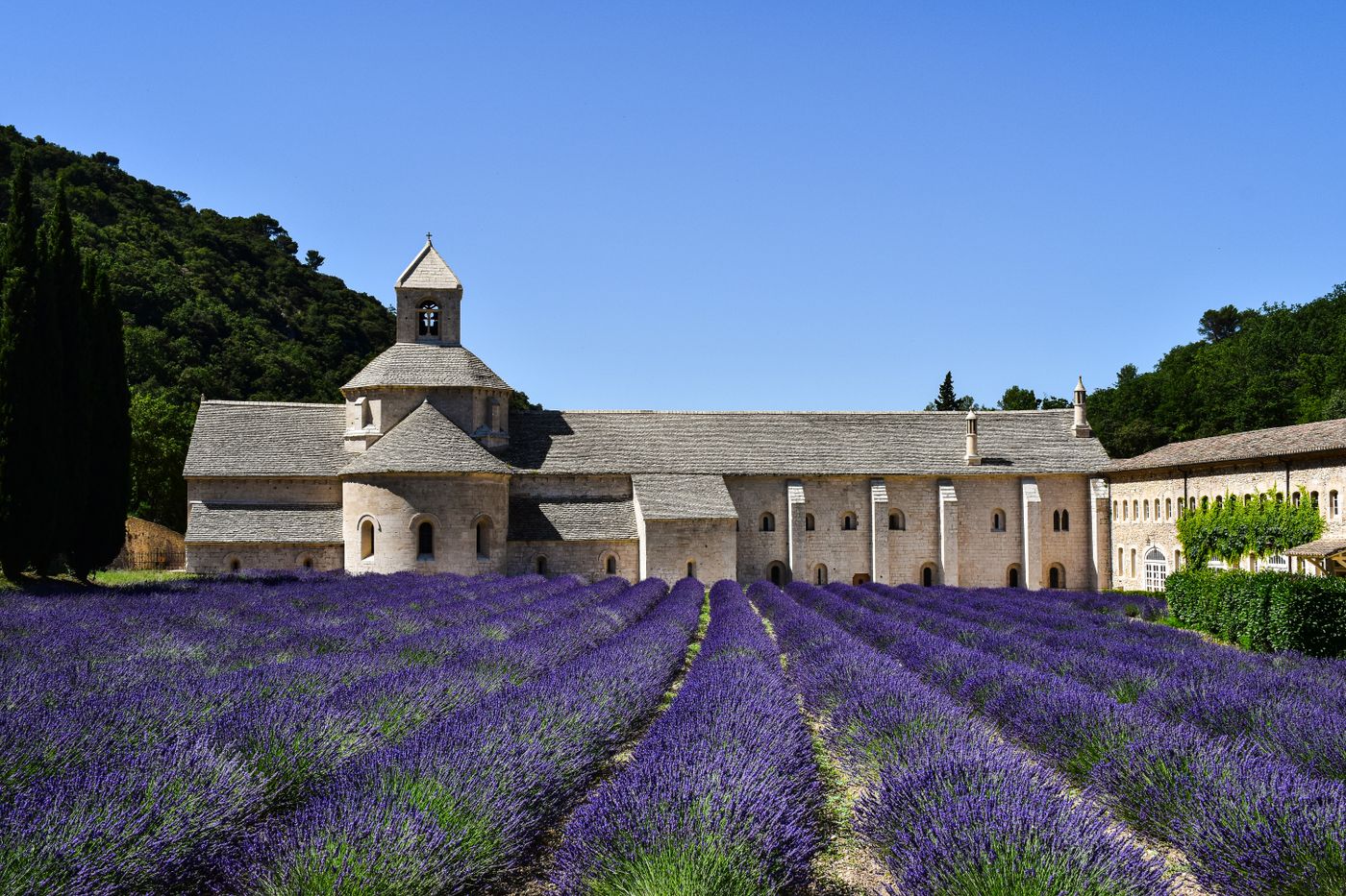 Provence — Abbaye de Sénanque, Gordes
