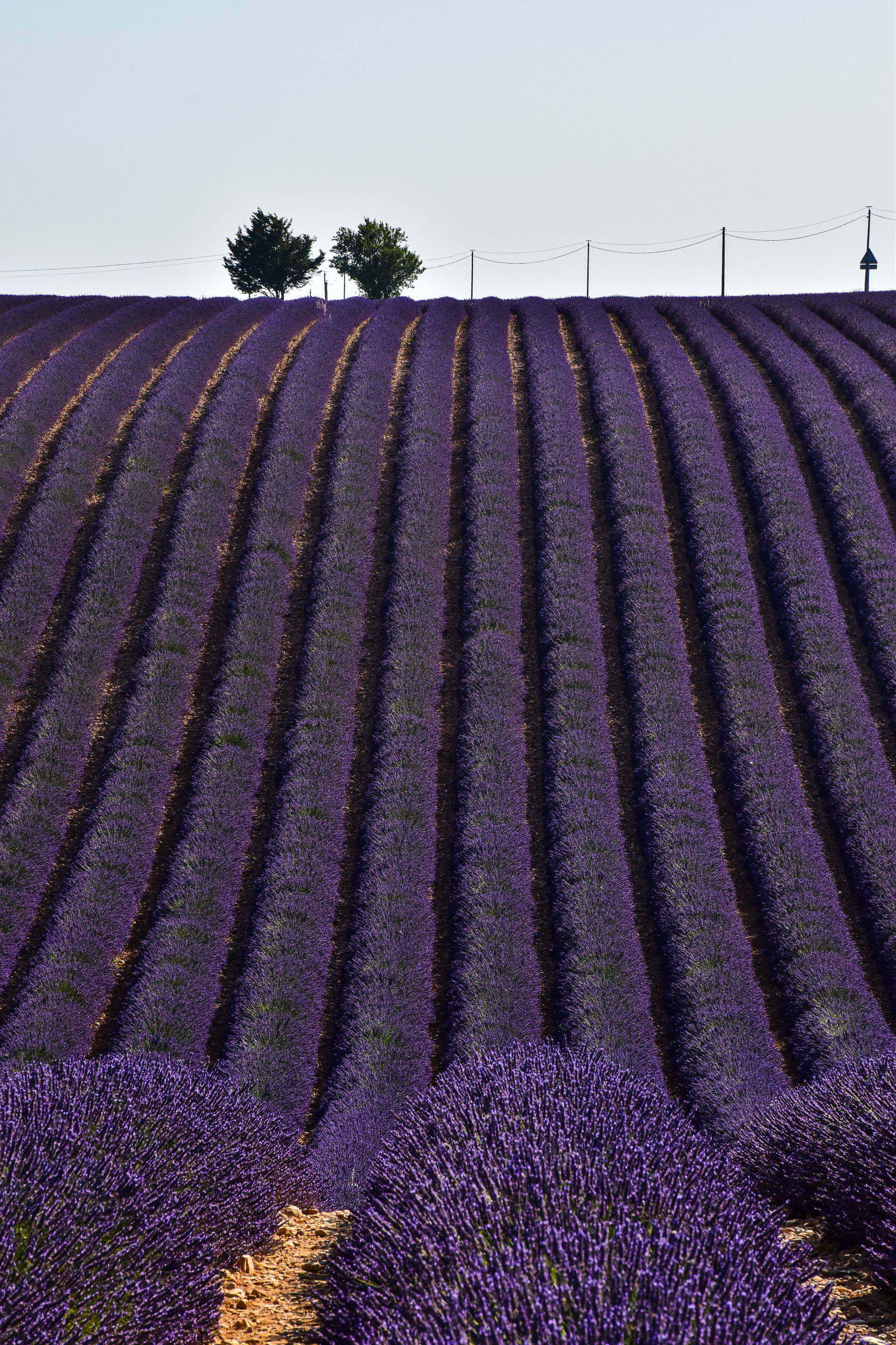 Provence, France