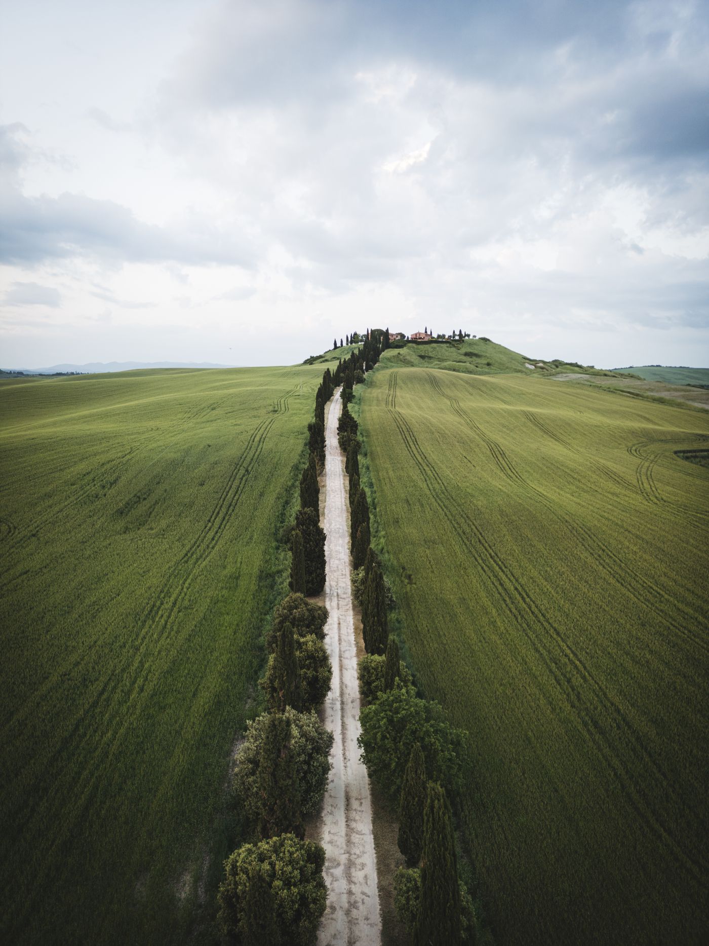 Tuscany — A cypress road near Pienza